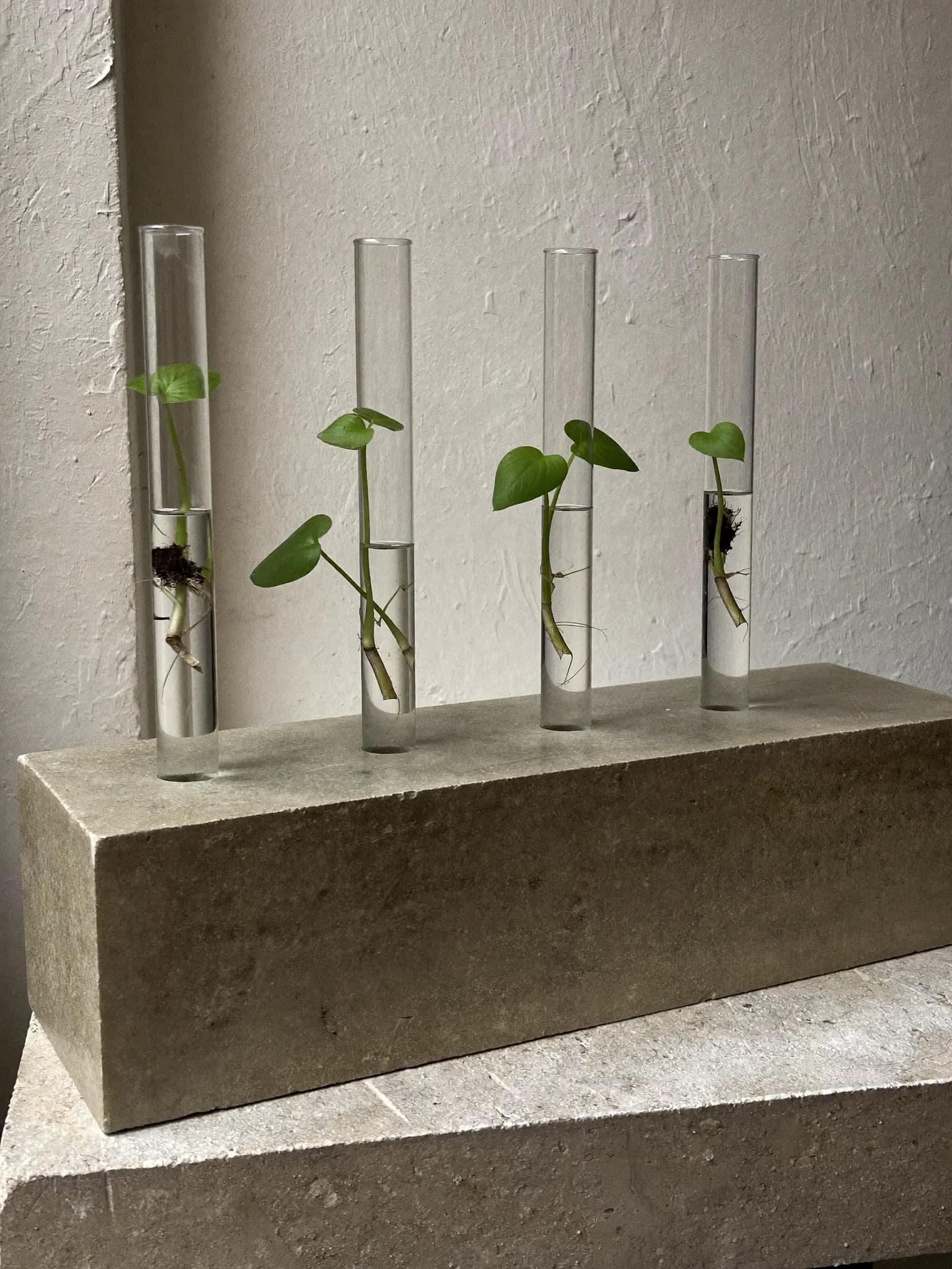 Propagation Stand stoneware planter in oat matte glaze, on a stone block against a plaster wall