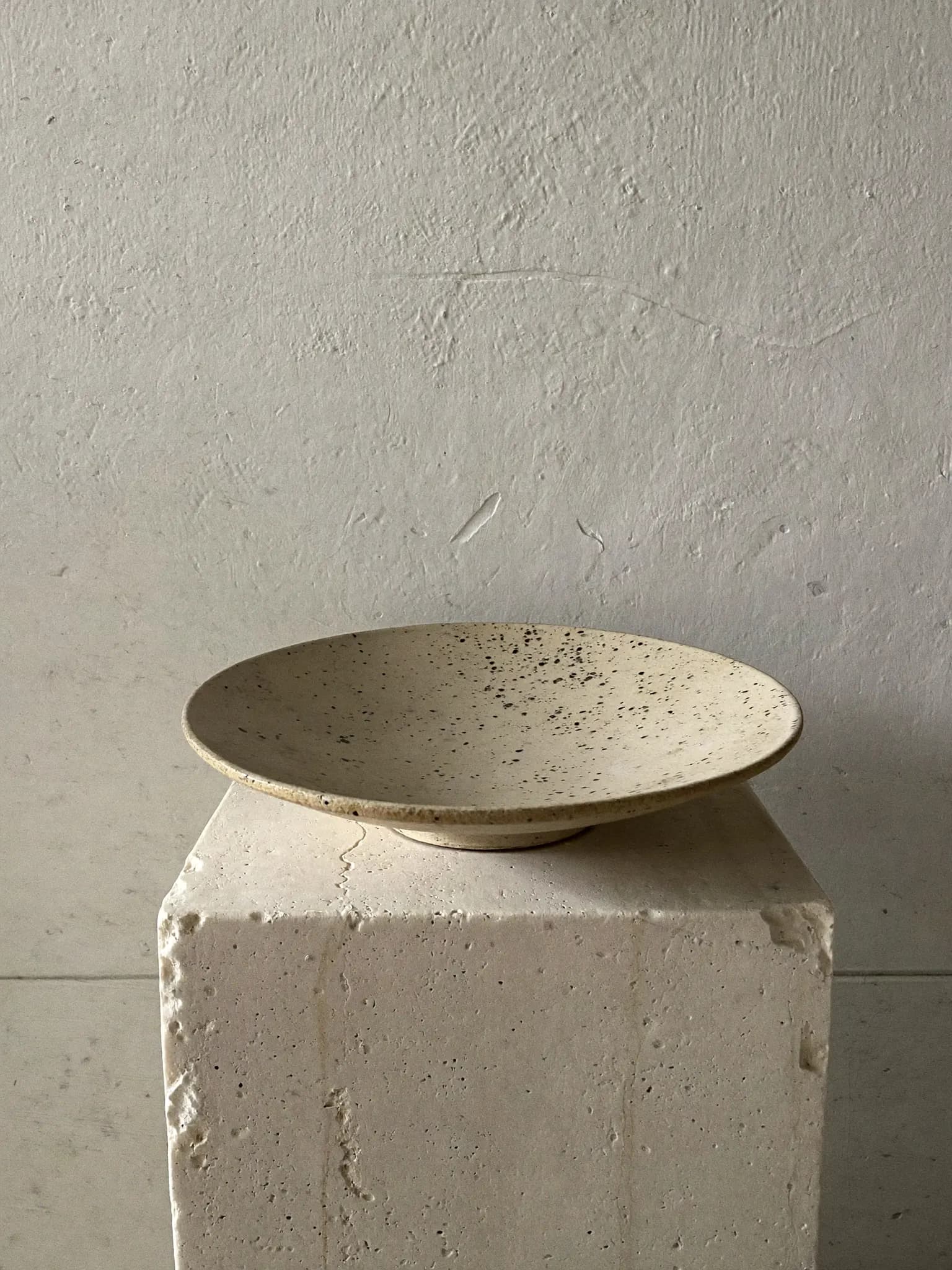 Succulent Dish stoneware planter in iron speckle glaze, on a stone block against a plaster wall